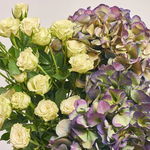 Product image Bouquet Duo with Hydrangeas and Spray roses, packaging: Newspaper, vendor code: 3628