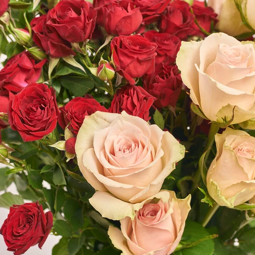 Product image Bouquet Duo with pink Roses and red Spray, packaging: White, vendor code: 3630