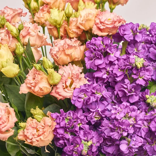 Product image Bouquet Duo with Eustomas and Mattiolas, packaging: Newspaper, vendor code: 3631