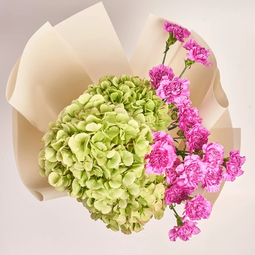 Product image Bouquet Duo with Hydrangeas and Carnations, packaging: Kafin cream, vendor code: 3633