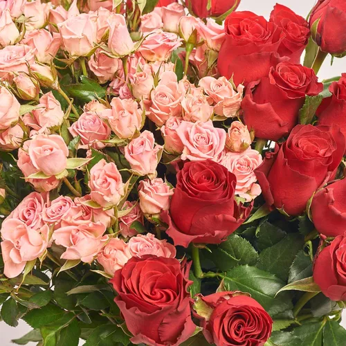 Product image Bouquet Duo with red Roses and pink Spray, packaging: Gradiens tiffany, vendor code: 3636
