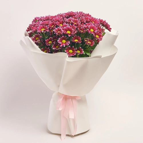 Product image Bouquet of 25 Two-color Chrysanthemums, packaging: White, vendor code: 3643