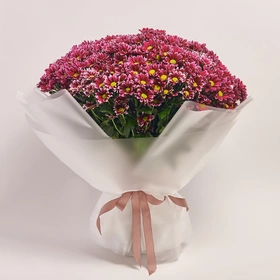 Bouquet of 51 Two-color Chrysanthemums