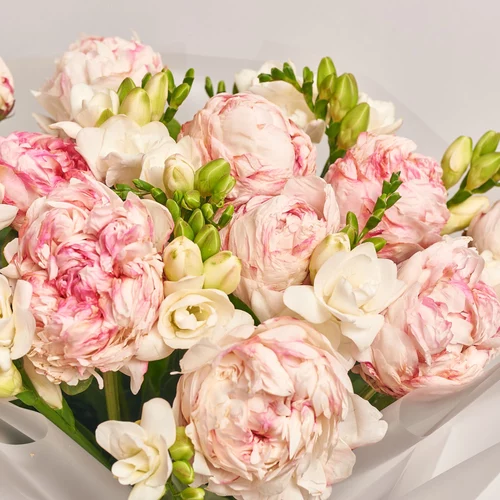 Product image Bouquet Duo of Peonies and Freesias, packaging: Transparent, vendor code: 3647