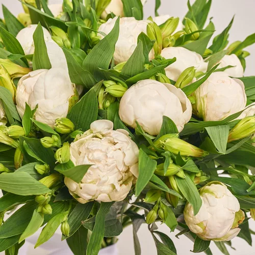 Product image Bouquet Duo with Peonies and Alstroemeria, packaging: Kafin cream, vendor code: 3649