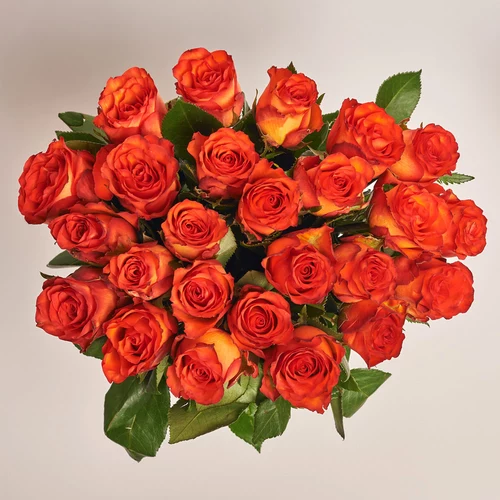 Product image Bouquet of 25 orange Meteor Roses, packaging: Without packaging, vendor code: 3652