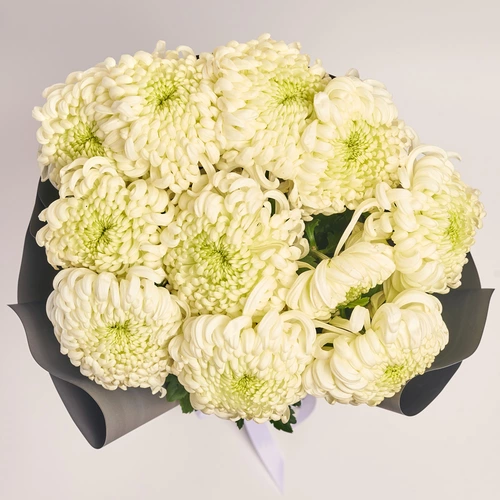 Product image Bouquet of 11 сream Single Chrysanthemums, packaging: 
Graphite, vendor code: 3656