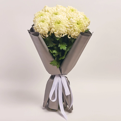 Product image Bouquet of 11 сream Single Chrysanthemums, packaging: 
Graphite, vendor code: 3656