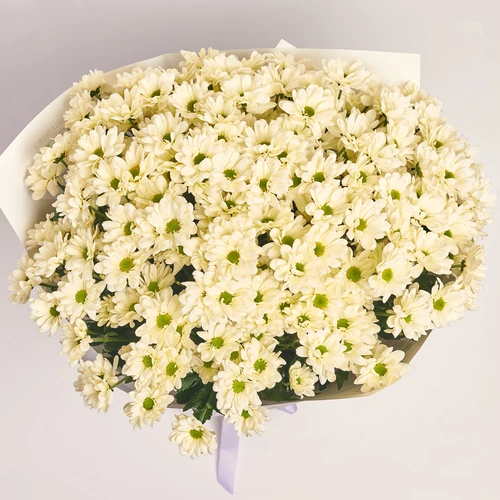 Product image Bouquet of 25 cream Сhrysanthemums, packaging: Newspaper, vendor code: 3657