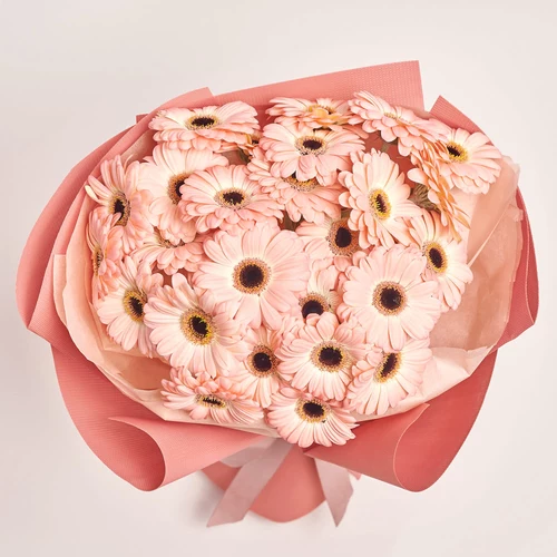 Product image Bouquet of 25 light pink Gerberas, packaging: Kafin rust, vendor code: 3660
