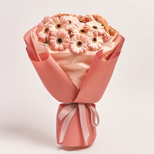 Product image Bouquet of 25 light pink Gerberas, packaging: Kafin rust, vendor code: 3660