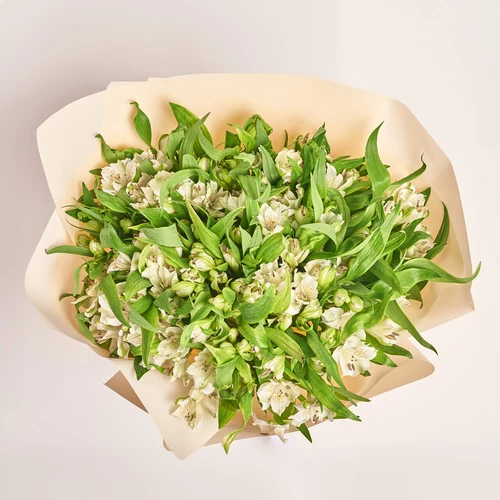 Product image Bouquet of 25 white Alstroemerias, packaging: Peach, vendor code: 3661