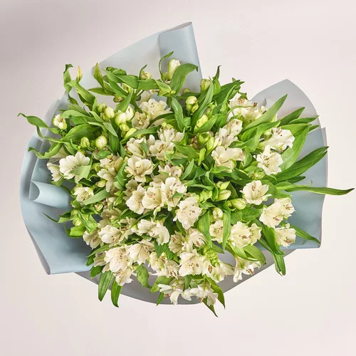 Product image Bouquet of 25 white Alstroemerias, packaging: Gray, vendor code: 3661