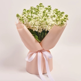 Bouquet 51 White Matiola