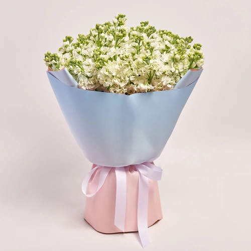 Product image Bouquet 51 White Matiola, packaging: Gradiens light blue, vendor code: 3663