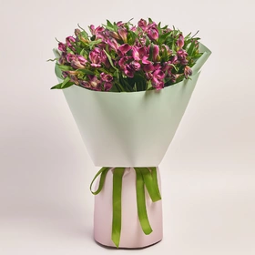 Bouquet of 25 purple Alstroemerias