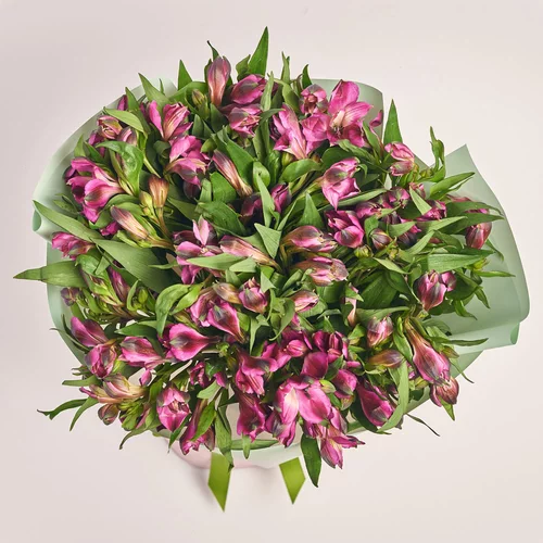 Product image Bouquet of 25 purple Alstroemerias, packaging: Gradiens tiffany, vendor code: 3664