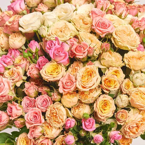 Product image Bouquet 51 Rose mix Spray, packaging: Blue, vendor code: 3665