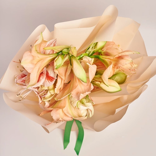 Product image Bouquet of 5 Amaryllises mix, packaging: Peach, vendor code: 3667