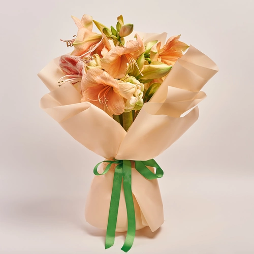 Product image Bouquet of 5 Amaryllises mix, packaging: Peach, vendor code: 3667