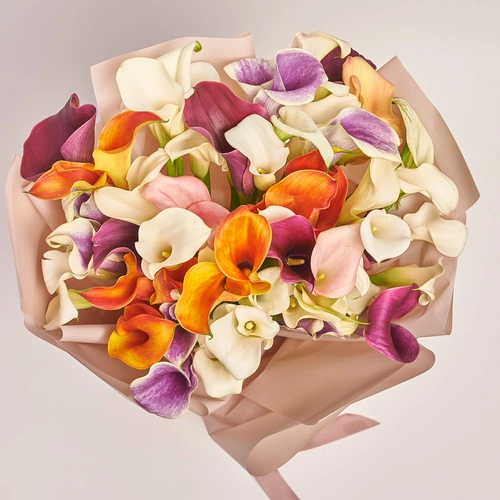 Product image Bouquet 51 gentle Callas mix, packaging: Powder, vendor code: 3668