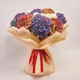 Bouquet of 15 Hydrangeas Mix Bicolor