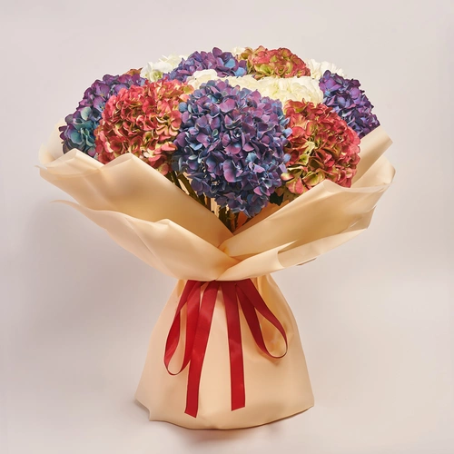 Product image Bouquet of 15 Hydrangeas Mix Bicolor, packaging: Peach, vendor code: 3666