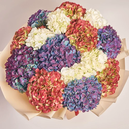 Product image Bouquet of 15 Hydrangeas Mix Bicolor, packaging: Peach, vendor code: 3666