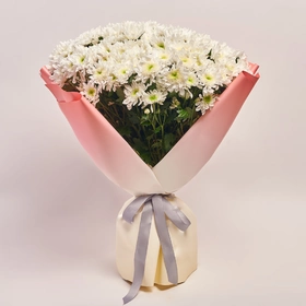 Bouquet of 25 White Chrysanthemums