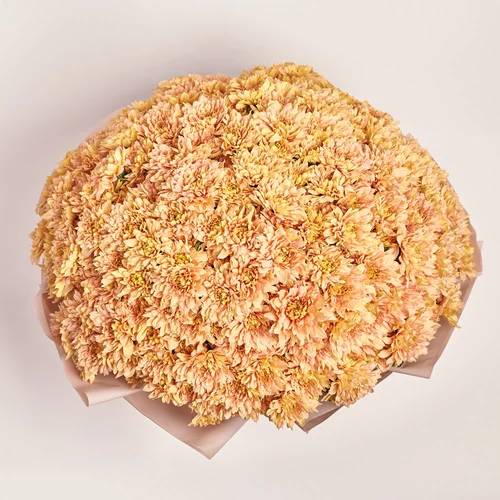 Зображення товару Букет 51 Лососева Хризантема, пакування: Пудрова, артикул: 3671