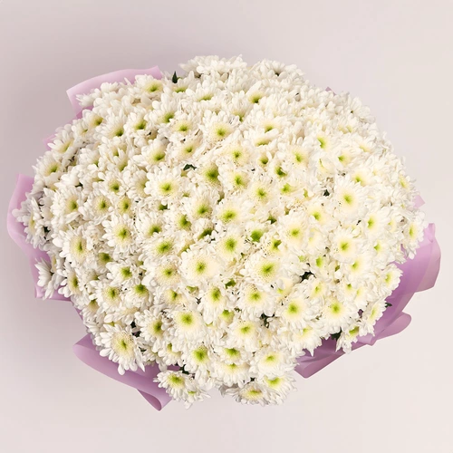 Product image Bouquet 51 White Chrysanthemum Joy, packaging: Purple, vendor code: 3672