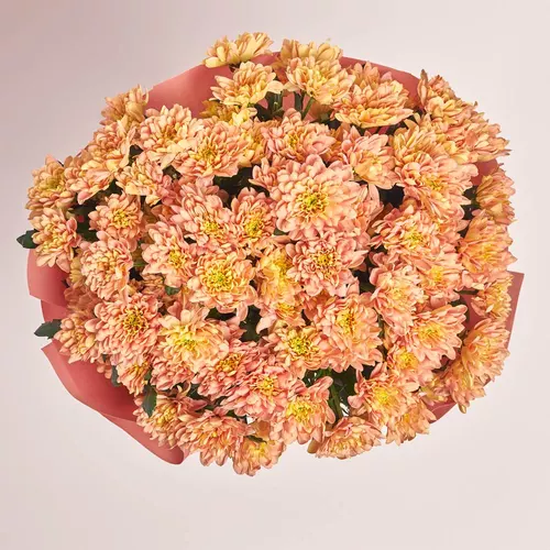 Product image Bouquet of 15 Salmon Chrysanthemums, packaging: Kafin rust, vendor code: 3673
