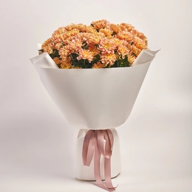 Bouquet of 15 Salmon Chrysanthemums