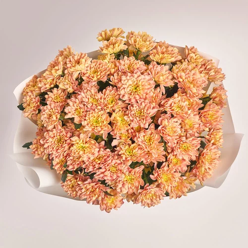 Product image Bouquet of 15 Salmon Chrysanthemums, packaging: White, vendor code: 3673