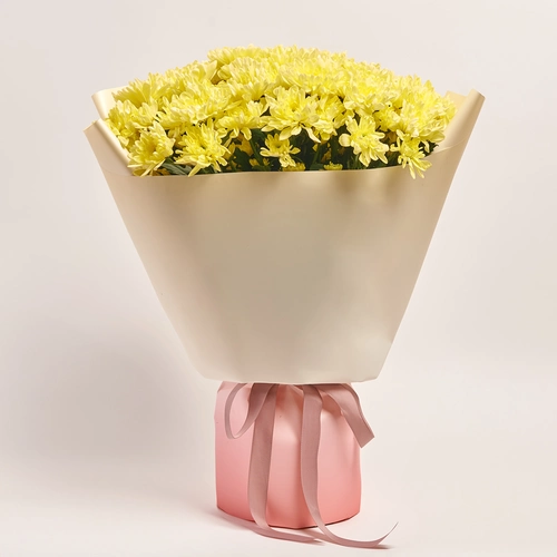 Product image Bouquet of 15 Cream Chrysanthemums, packaging: Gradiens pink, vendor code: 3676