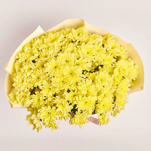 Product image Bouquet of 15 Cream Chrysanthemums, packaging: Gradiens pink, vendor code: 3676