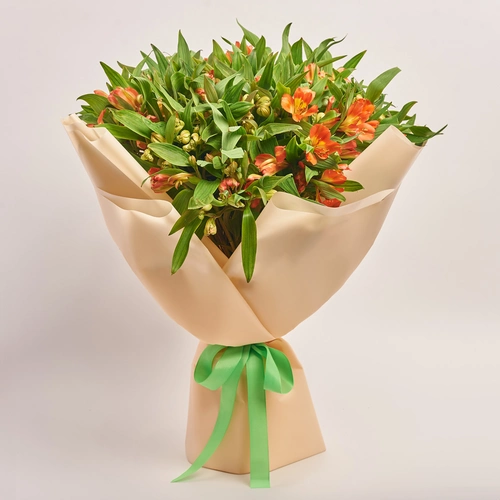 Product image , vendor code: 