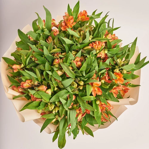 Product image Bouquet of 25 orange Alstroemerias, packaging: Peach, vendor code: 3675