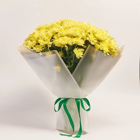 Bouquet of 25 Cream Chrysanthemums