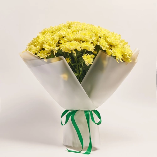 Product image Bouquet of 25 Cream Chrysanthemums, packaging: Transparent, vendor code: 3677