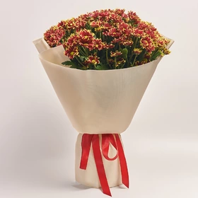 Bouquet of 25 Yellow-red Chrysanthemums