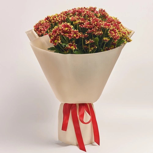 Product image Bouquet of 25 Yellow-red Chrysanthemums, packaging: Kafin cream, vendor code: 3678