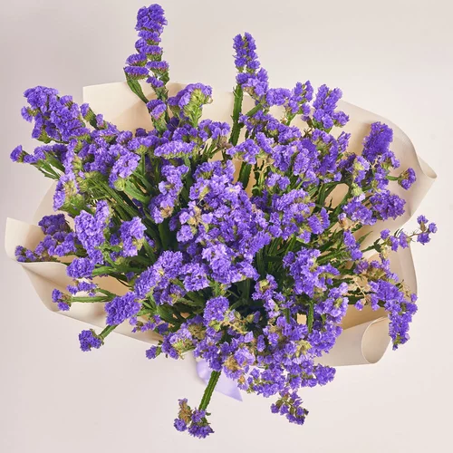 Product image Bouquet of 25 Purple Statice, packaging: Kafin cream, vendor code: 3680