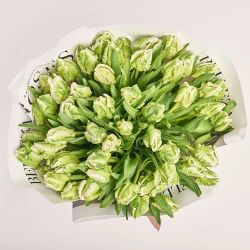 Product image Bouquet 51 Tulips White Parrot, packaging: Newspaper, vendor code: 3682