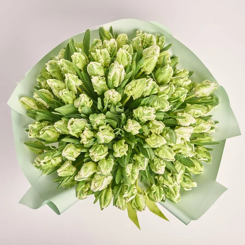 Product image Bouquet 101 Tulips White Parrot, packaging: Gradiens tiffany, vendor code: 3683