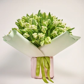 Bouquet 101 Tulips White Parrot