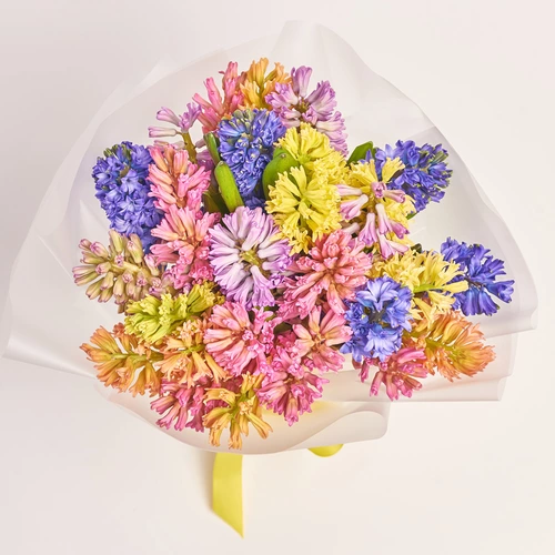 Product image Bouquet of 25 Hyacinths mix, packaging: Transparent, vendor code: 3684