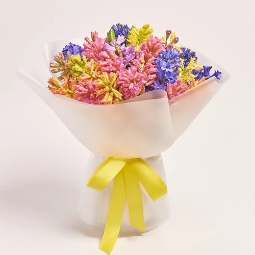 Product image Bouquet of 25 Hyacinths mix, packaging: Transparent, vendor code: 3684