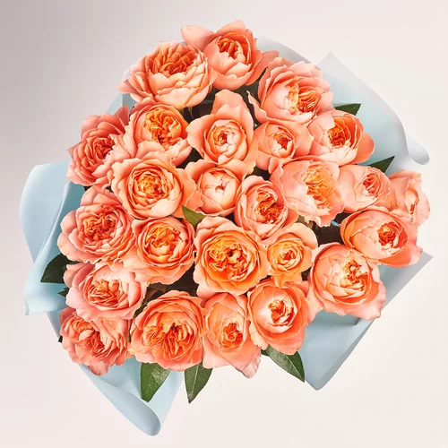 Product image Bouquet of 25 pink peony Roses, packaging: Blue, vendor code: 3687