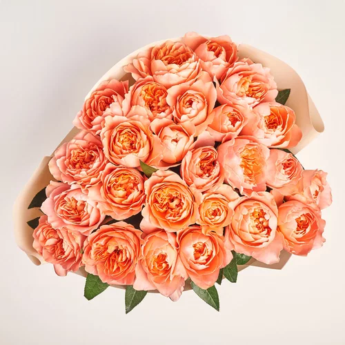 Product image Bouquet of 25 pink peony Roses, packaging: Kafin cream, vendor code: 3687